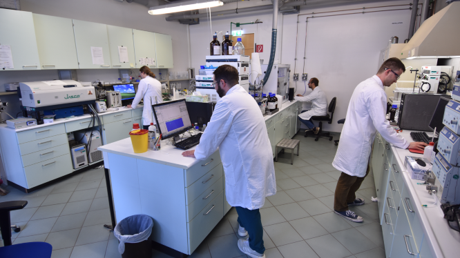 Photo: Tino Mackiol Four people working on computers in a laboratory